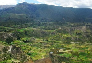 Colca Vallée