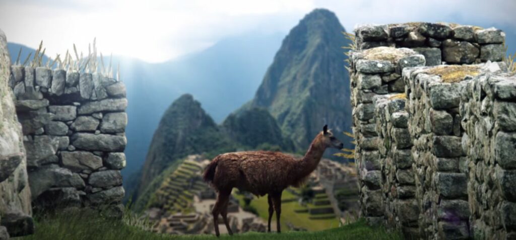 Chemin de l'Inca