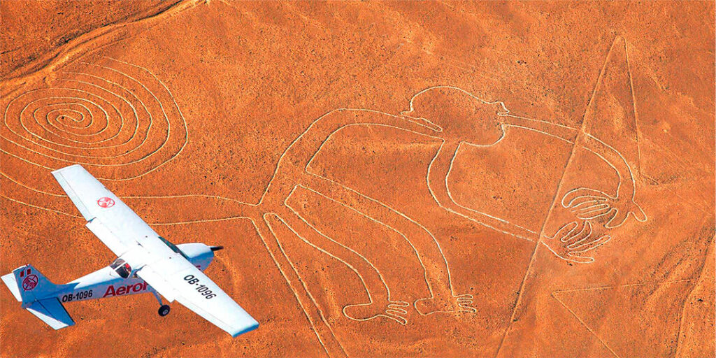 avion Nazca singe